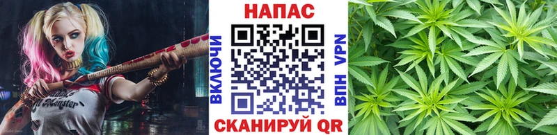 дарнет шоп  Алзамай  МАРИХУАНА ГИДРОПОН 